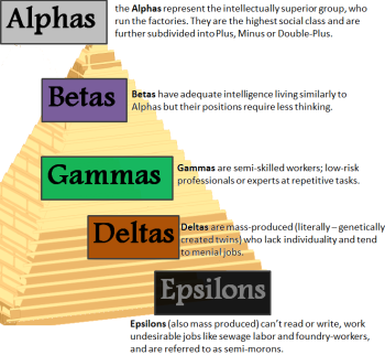 882556653_bnwcastes.png.07450c2da200be0b07794188f76d5eb8.png
