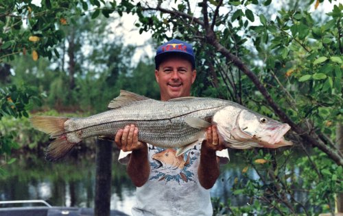 Snook 1.jpg