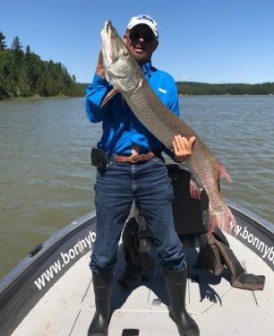 musky.thumb.jpg.e955e4930f18cb96bda0aaf019030aca.jpg