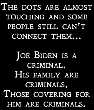 BidenCriminal.thumb.jpeg.320051553c4b9c9f5294b3339a7012f0.jpeg