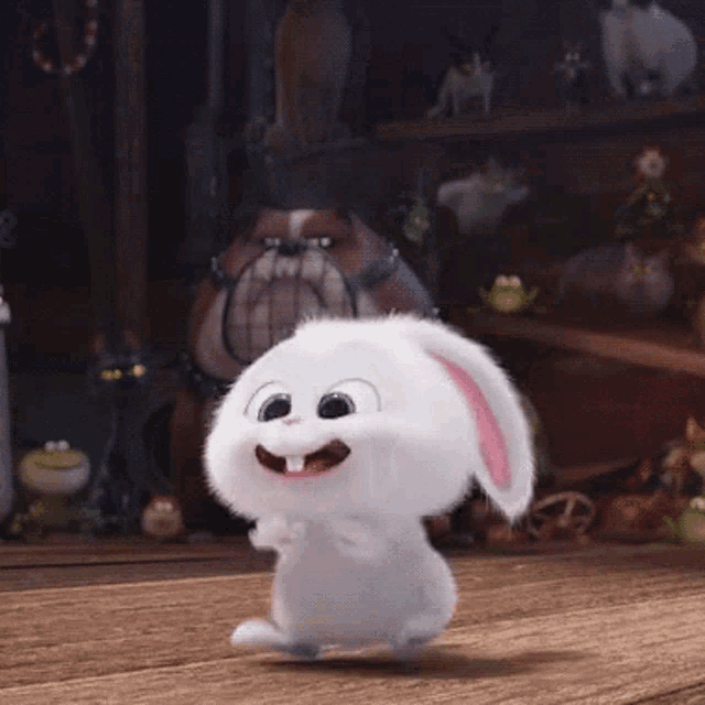 bunny-rofl.thumb.gif.1871ce4b4215e8fb6c7cf7edb4add9d0.gif