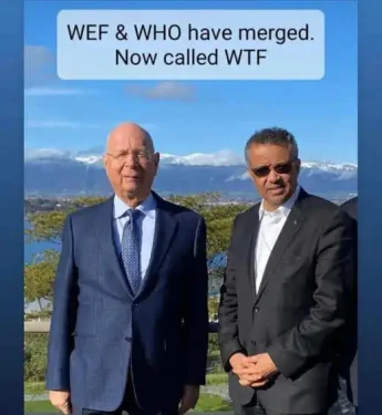 wef-who-merge-now-wtf.webp