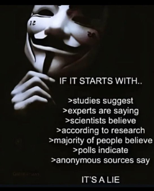 Guy-Fawkes-It-s-a-Lie.png