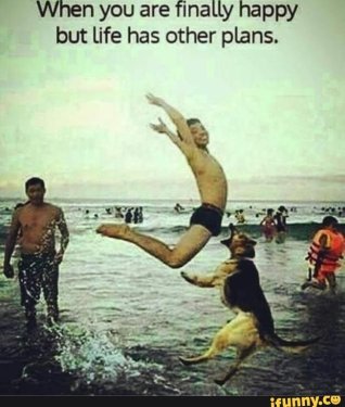 3f0dcf43f50e8c9cd68a69862de5fd22d843ce759bfb5e89631218ffa15afa41_1.jpg.thumb.jpg.4c90a0785249980e90a812c9b9c4067d.jpg
