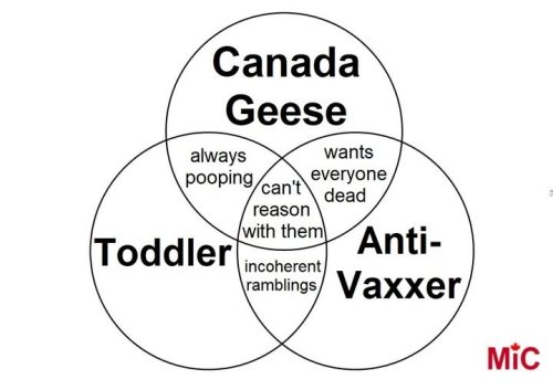 image.thumb.jpeg.9808ef13cfe2b47c660a406d7a1b5de4.jpeg