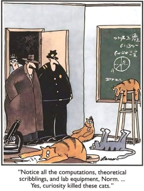 1749558559355.png