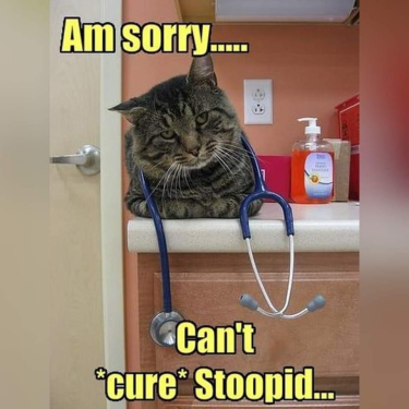 image.thumb.png.c432f0dda8f600b65b745494f8cf1b97.png