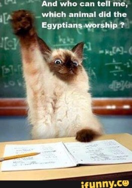 1812324786d98707d48dac7ad1aa783c3a4c743ccdfe823faa0c8e835eb5398f_1.jpg.thumb.jpg.b8c7de37df624d7fe00888c825a91d8f.jpg