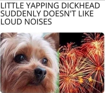 20250704_181324.thumb.jpg.2a67d77c5fda57f1edaba982eb383818.jpg