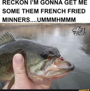 5d8d0c71d79e0f853e60e2c8ed402729db0d3ee13b3a5efd249f4c395a2a5641_1.jpg.thumb.jpg.10edeac23d50186efb85a95ce6f9b2fc.jpg