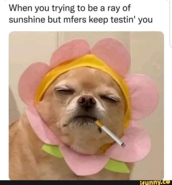 8908c6a48e31e42ce569aeeed5e4704686953861e076c1454f7efc59231fc665_1.jpg.thumb.jpg.045b0330c3088f60880c1c0d049cdd64.jpg