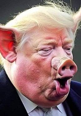 image.thumb.jpeg.3dc4a08da3e10811198a3367b8c7257e.jpeg