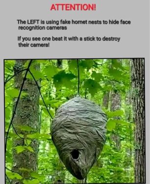 image.thumb.jpeg.786d3271f7d69d80a49cec3f0a565f80.jpeg