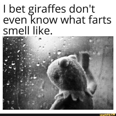 65b73021ee55ca266191c11b57322aebd9076e479ab567b2146cb5ca90b538f4_1.jpg.thumb.jpg.364d95b38270482533981f385999c63a.jpg