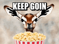 IMG_2325.gif.53a85f08e1c5fc8b8a469269a5d7a5ce.gif