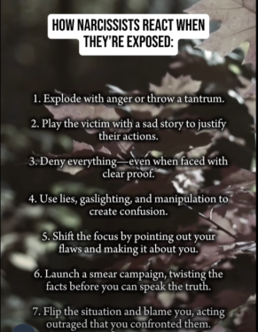 image.thumb.png.60c742b7bc5c04c1a304c5d9106d8ced.png