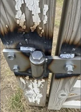 1000010550.jpg