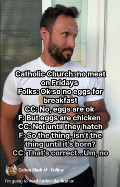 image.thumb.png.beeddff53dc1f38b4bc5ed693c913a1e.png