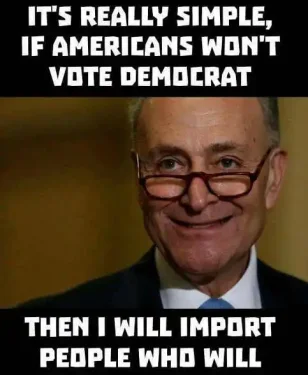 its-really-simple-if-you-dont-vote-democrat-will-import-people-who-will-chuck-schumer.webp