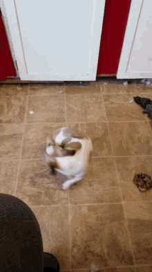 image.gif