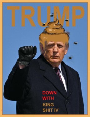 ART_TRUMP copy.jpg