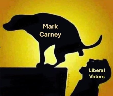 liberalvoterseatcarneysht.thumb.jpg.6a9524bf01ec7f28e9e90513675ddd3e.jpg