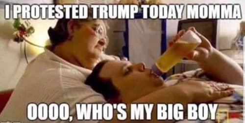 TrumpProtestBaby.thumb.jpg.3f9d656eba9fbe29983ce52238081b5d.jpg