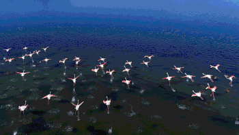 image.gif.28ea679b534a2066971067ff925fb495.gif